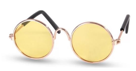 Paw Pets lentes circulares