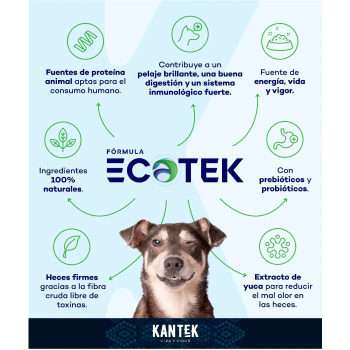 KANTEK Activo-Alimento para Perro Super Premium