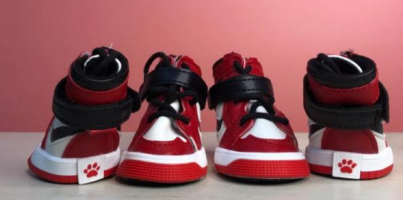 Zapatos Tenis tipo Nike Jordan