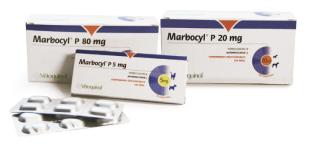 MARBOCYL P - VETOQUINOL