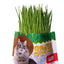 PASTO DE AVENA Y CEBADA GREEN MUNCHIES PARA GATOS - TRICK & TREATS