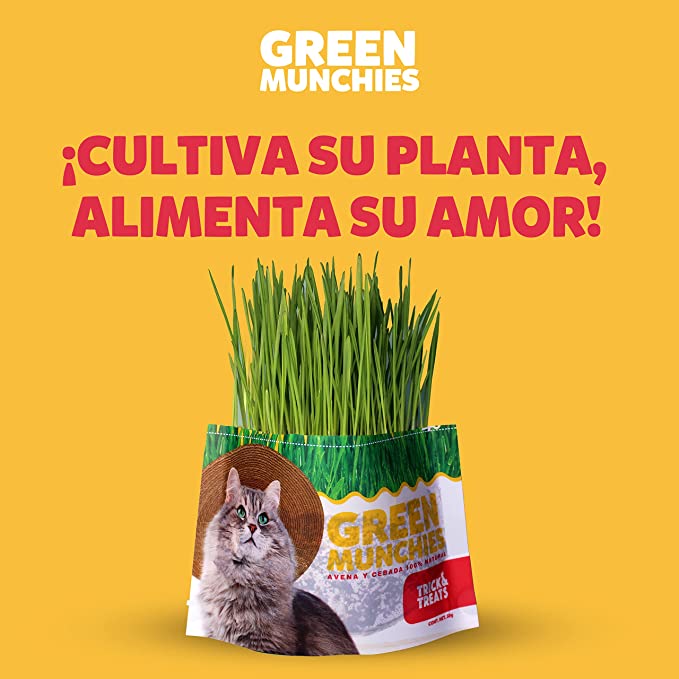 PASTO DE AVENA Y CEBADA GREEN MUNCHIES PARA GATOS - TRICK & TREATS