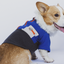 Urbandog Sudadera Pop