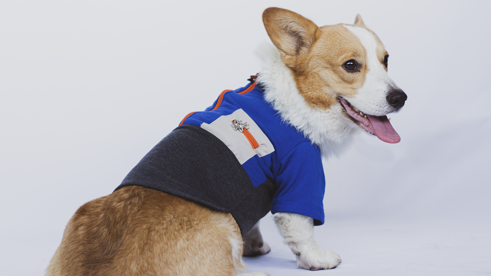Urbandog Sudadera Pop