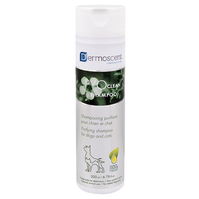 PYOCLEAN SHAMPOO