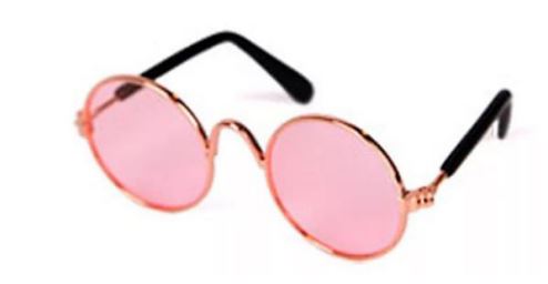 Paw Pets lentes circulares