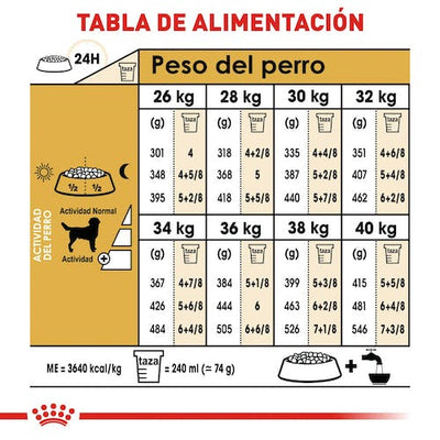 Royal Canin Labrador Retriever Adulto