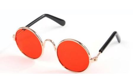 Paw Pets lentes circulares