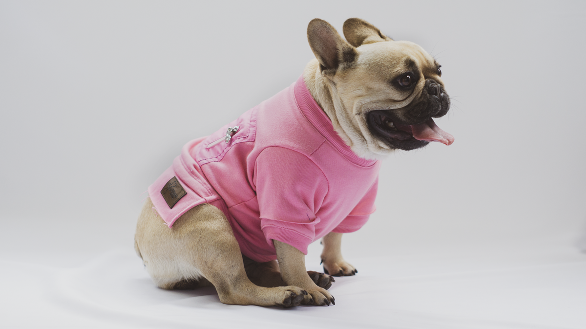 Urbandog Sudadera Rue