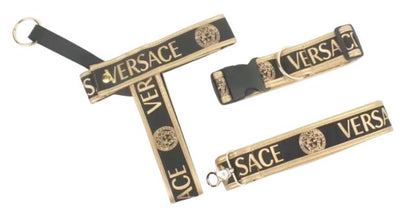 Paw Pets set 3 piezas Versace