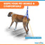 Walkin Pets Correa de soporte trasero Azul