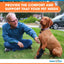 Walkin Pets Férula ajustable delantera o trasera