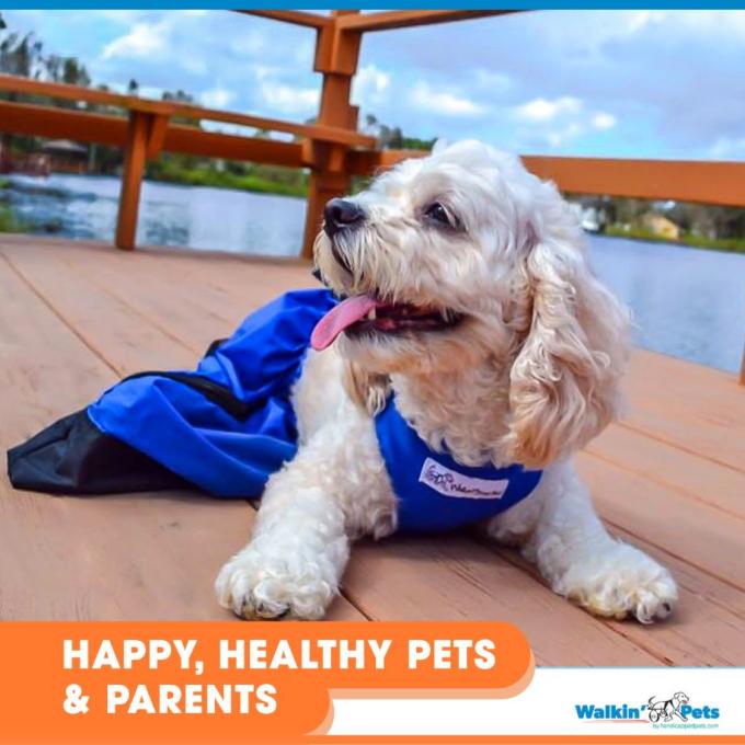Walkin Pets Bolsa protectora para arrastre para mascotas