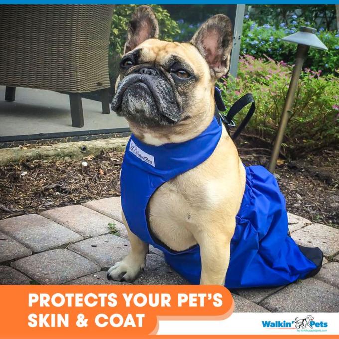 Walkin Pets Bolsa protectora para arrastre para mascotas