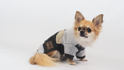 Urbandog Sudadera Yoyo