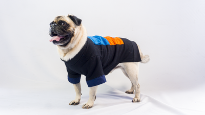 Urbandog Sudadera Zarape